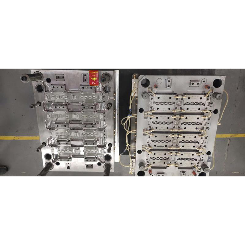 Mold 4